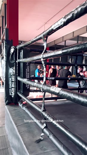 The Sweet Science 🧪 🥊