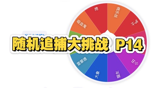 随机追捕大挑战 P14