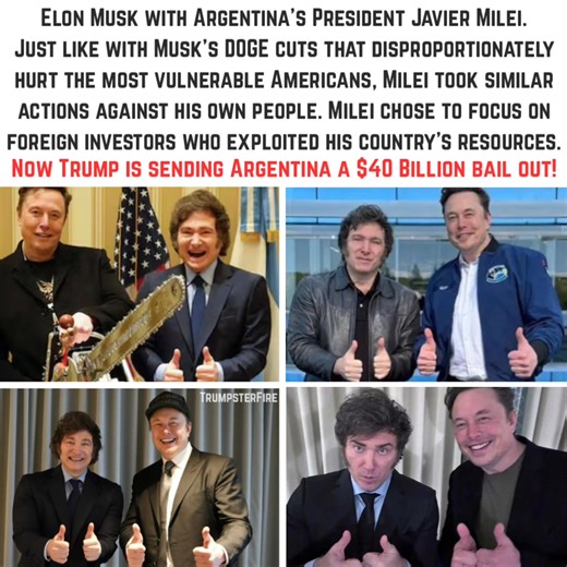 Elon likes to push a Libertarian agenda across the world so that he can loot one country after another. Funny thing though, he thrives because of government subsidies. Greed at the expense of the struggling public! | Satire & parody memes share away