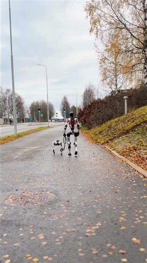 Robot walking a robot dog