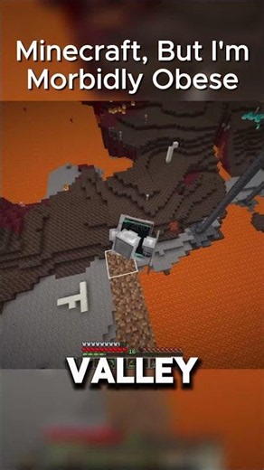 Minecraft But I'm Literally Too Wide #minecraft #memes #challenge