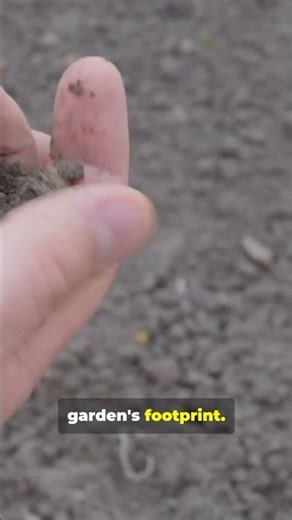 The Nature of Science — Explained