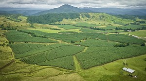Aussie farming families to sell pair of historic farms