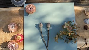 Herbstliches 3D-Bild aus Blättern, Blüten, Nüssen und Kastanien