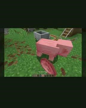 Cochon fusée🚀 #minecraft #shorts #flyingpig #plzsubscribe