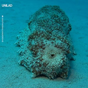 1.2M views · 6.3K reactions | Do NOT watch this before eating... Wait for it  | UNILAD | Facebook