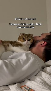 571K views · 10K reactions | Happy Valentine’s to me 沈 #cat #catsofinstagram #girlcat #valentinesday #catdad #daddysgirl #catmomlife #thirdwheel #funny | Phoebe & Samantha | Facebook