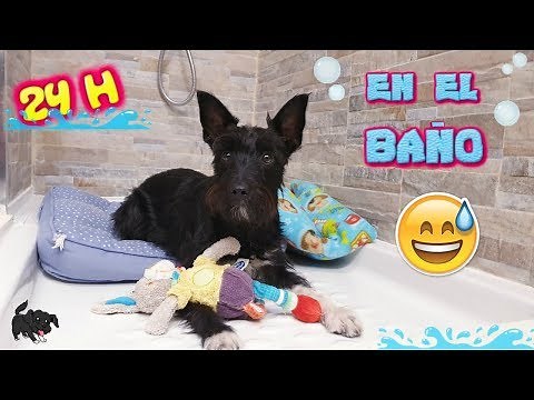 24 HORAS EN EL BAÑO / Retos Lana