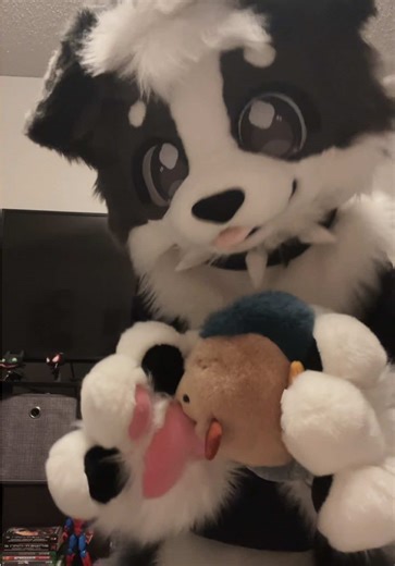 Fishy Fursuit Fun!