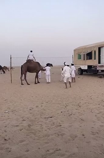 حسابات مقترحة