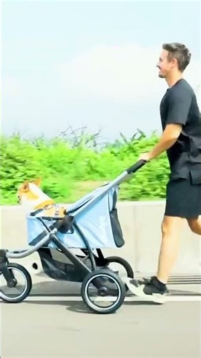 the Beast Pet Jogging Stroller