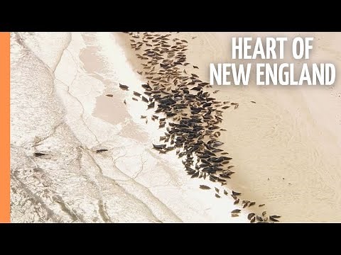 The U.S. East Coast: The Heart Of New England | Full Documentary