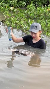 Amazing Fish Trapping Skills | Emma Girl Fishing