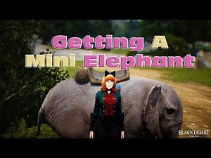 BDO - Getting A Mini Elephant - Quest Guide (2018)