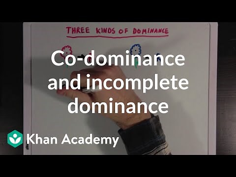 Co-dominance and Incomplete Dominance | Biomolecules | MCAT | Khan Academy