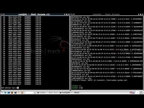 Cisco Layer 3 Switch MAC Flood Attack