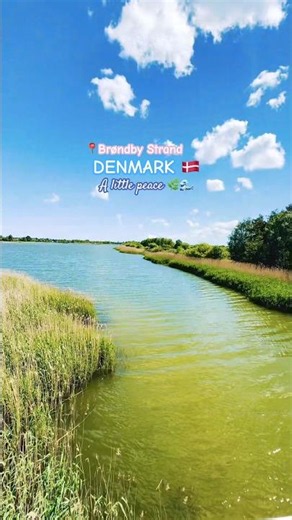 COPENHAGEN, DENMARK 🇩🇰 | A Little Peace in Brøndby Strand 🌿 #shorts
