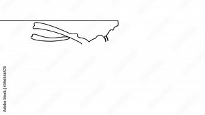 Self drawing simple animation of single continuous one line drawing diver, water, scuba, underwater, sea, sport, ocean . Drawing by hand, black lines on a white background.