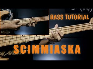 Tutorial Bass | Scimmiaska - Lelah
