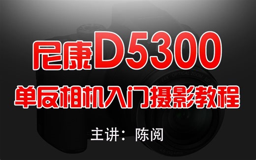 尼康D5300单反相机入门摄影教程_摄影技巧_拍照技巧_陈阅_尼康相机