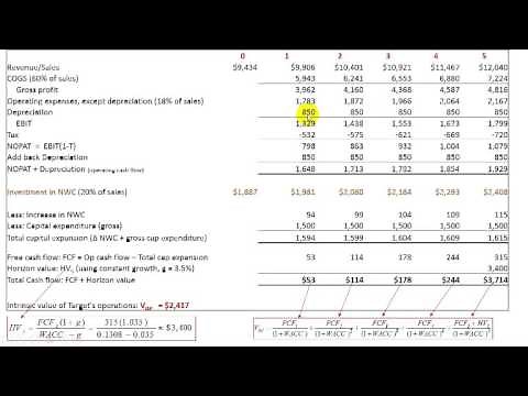 Corporate Valuation in Merger Analysis
