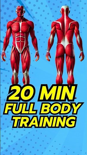FULL Body MEN'S HOME Workout for BEGINNERS