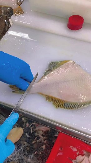How to Fillet a Fish: Step-by-Step Guide