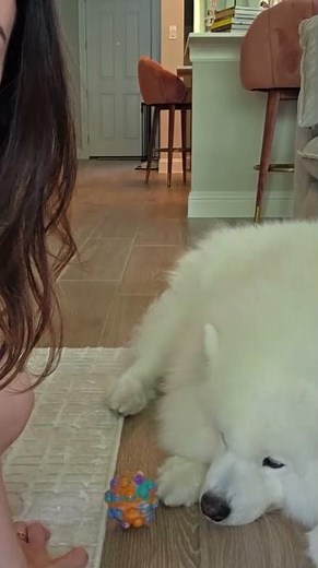 alinity Kept Going And It Got Worse 😂 #Shorts | alinity