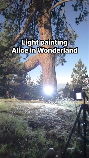 Follow the white rabbit 🐇⏱️🎩🍄💫 | Dariustwin