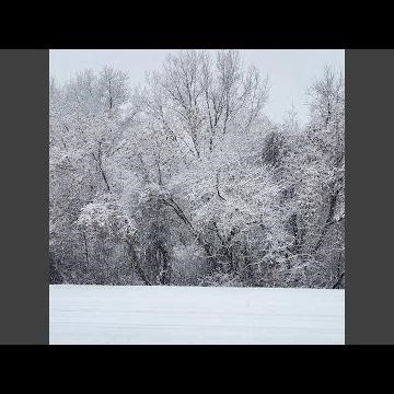 The Same for Each Other