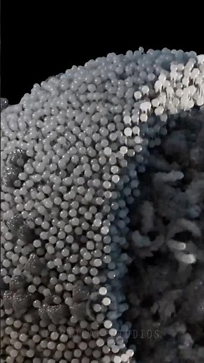 The Cell Membrane in Motion