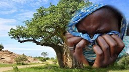 233K views · 7.6K reactions | LOU WAY DEF BOPAME 來來僚僚僚 LIGUEYE DOMOU DIAMBOUR GASS DI SOÛL DIEUW YENEWO KENE DIAME AK YOU MELNI MOME RÉSULTAT LOU WAY DEF BOPAME | PMC TV | Facebook