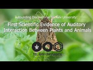 First Scientific Evidence of Auditory Interaction Between Plants and Animals