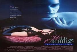 Wild Orchid II: Two Shades of Blue (1991) – Watch Online Video | Film1k
