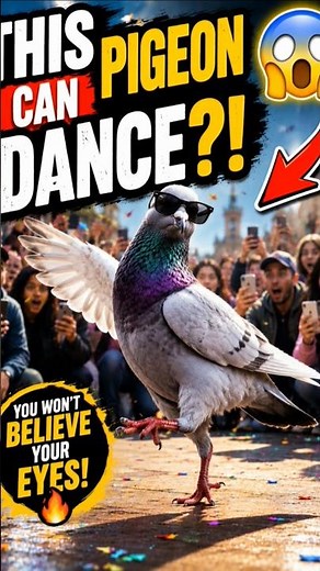🐦😱 Wait... This Pigeon Can Dance?! 🔥 #shorts #viral #trending# explore #fyp