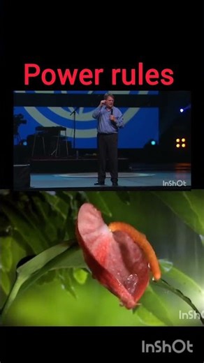 power rules by #reinhardbonnke #jesuschrist #crusades #healing #miracle