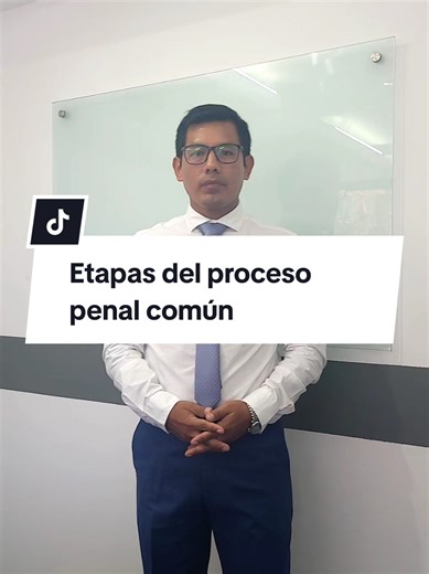 Etapas del proceso penal común. #defensapenal #serviciolegal #abogadopenalista #abogado #layers