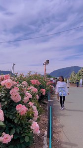 Kawaii Japanese kids on Reels