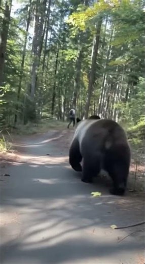 Charles Friendly Run Up with Bear!!