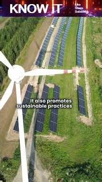 What is Environmental Planning?🌍