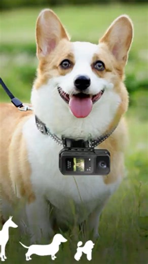 🔥 This Mini Camera Will Blow Your Mind!