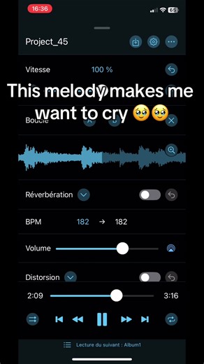 Emotional Melody That Makes You Want to Cry