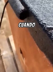 🔴¡Atención! La historia completa te espera. Busca snowreddit1 en YouTube o haz clic en el enlace de nuestra biografía.🎬 Por mucho tiempo soporté en silencio las traiciones, la frialdad y su indiferencia, Cuando finalmente pronunció las palabras que tanto esperé, ya era demasiado tarde para los dos.#reddit #redditstories #redditespañol #redditreadings #reddit_tiktok