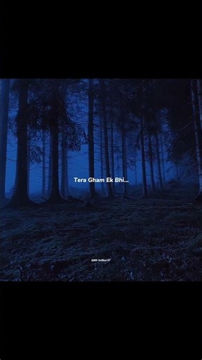 Main Tere vaaste❤️‍🩹🍂 #song #bollywood #music #love #lyricalzone #hindisong #tseries #songlyrics