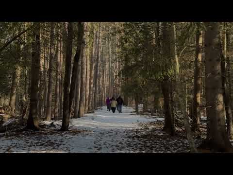 Conifer Trail Hike.