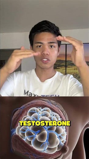 How to Actually Fix Gyno (Part 4) #gyno #gynecomastia #maxxteem