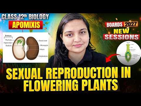 Class 12 Biology | Sexual Reproduction in Flowering Plants - Apomixis | Boards 2026-27