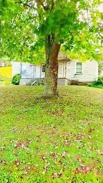 Lacy J Dalton 16th Avenue #countrymusic #adventure #joyriding #outdoors