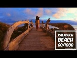 OLYMPIC NATIONAL PARK - KALALOCH BEACH 4 - WASHINGTON