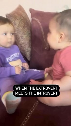 2.2K views · 94 reactions | Extrovert Vs Introvert | 퐛퐚퐛퐲'퐬 퐰퐨퐫퐥퐝 | Facebook